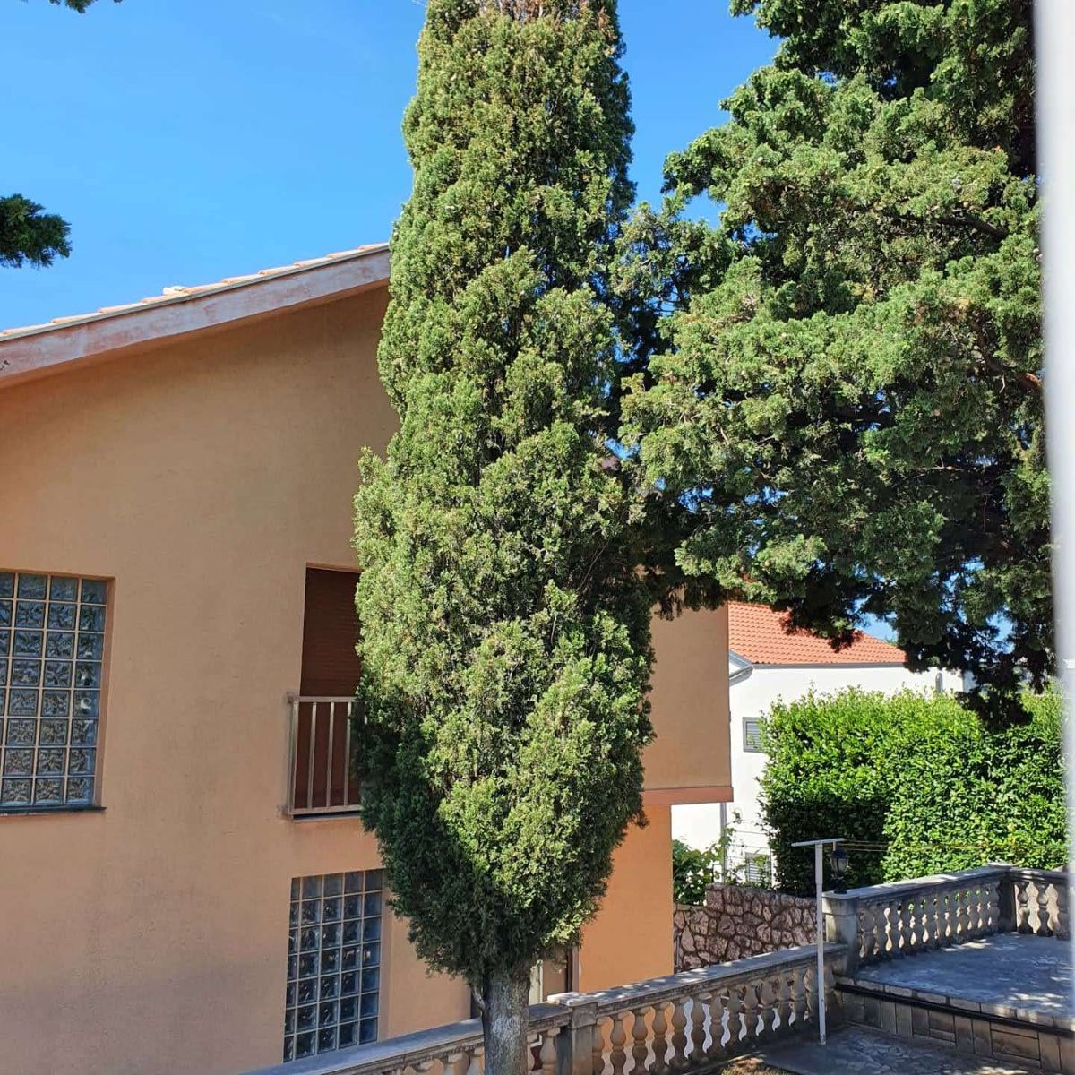 Zapušten vrt s neurednom vegetacijom